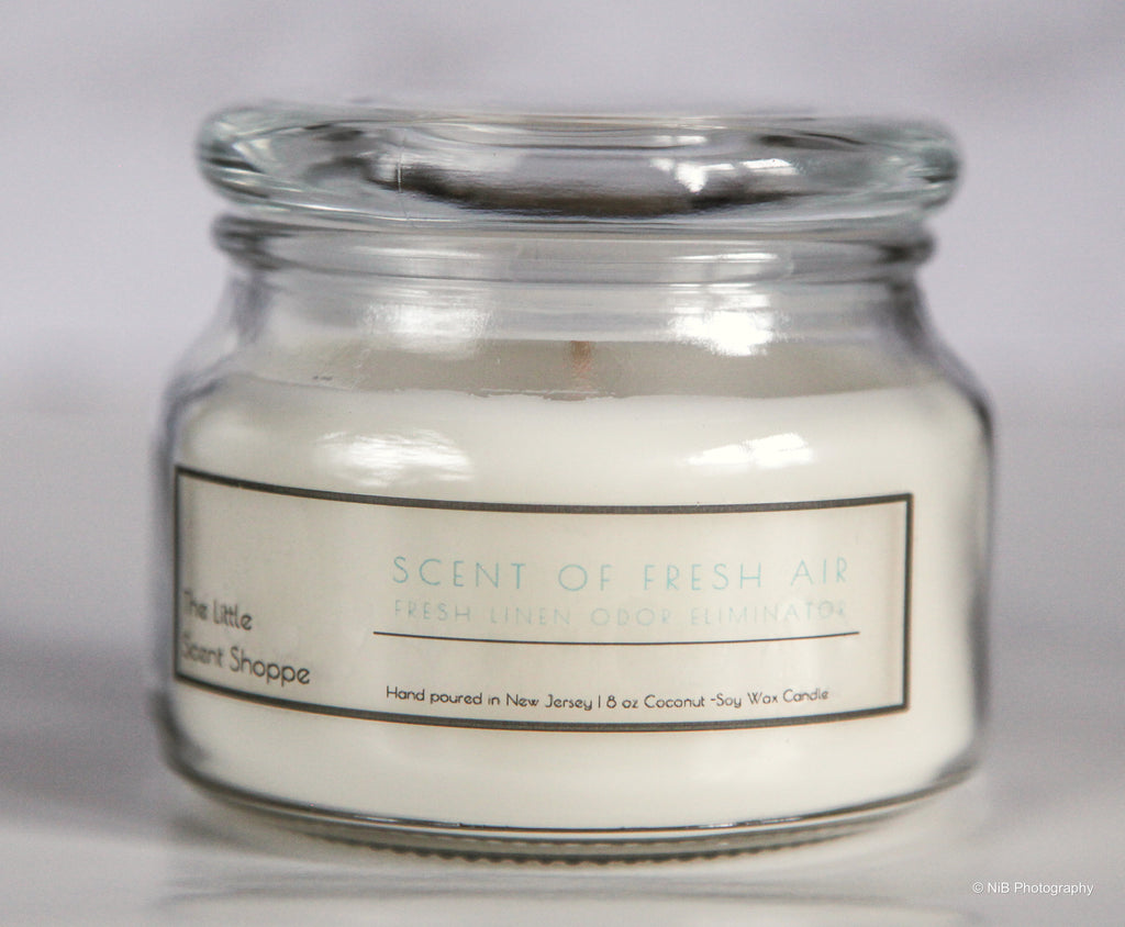 Scent of Fresh Air Odor Eliminator Candle